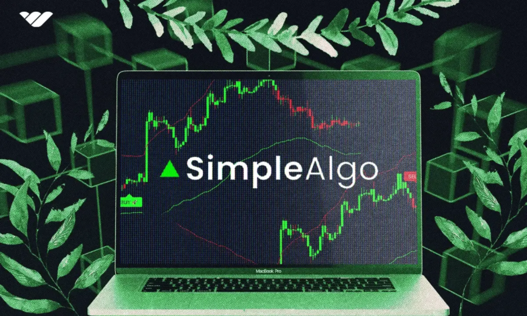 The SimpleAlgo Story: Building Tools That Traders Actually Need